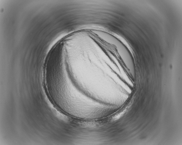 X0000086100999200704202236