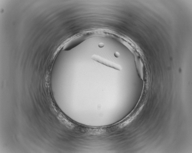 X0000086101001200704202236