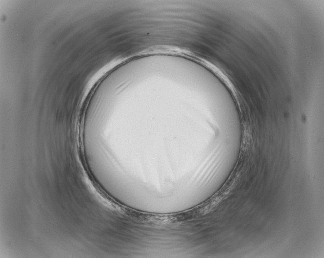 X0000086101003200704202236