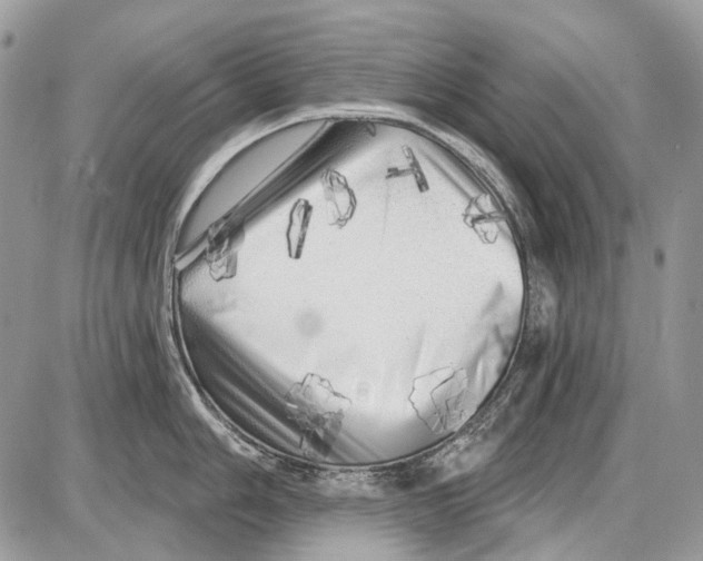 X0000086101006200704202236
