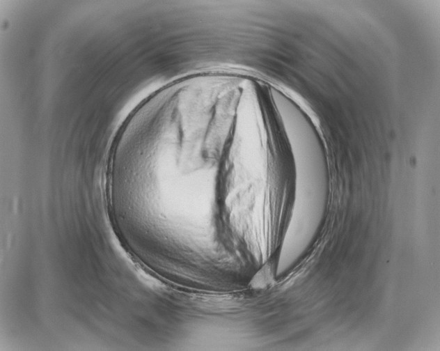 X0000086101007200704202236