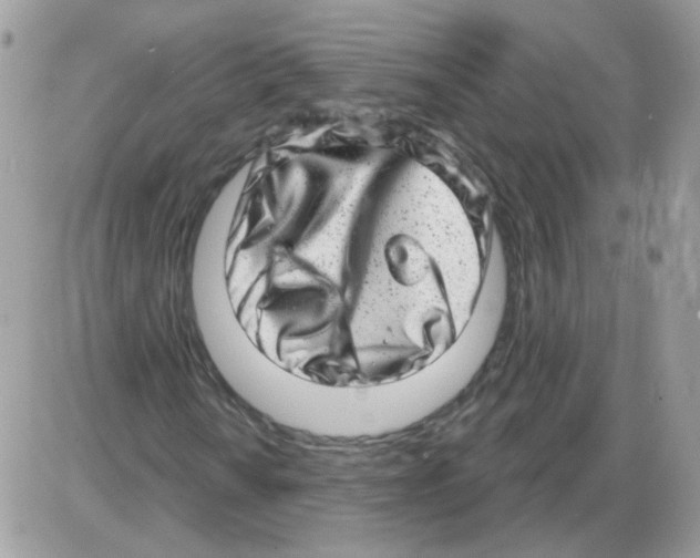 X0000086101010200704202235