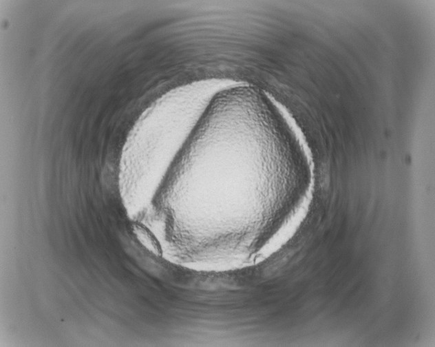X0000086101011200704202235