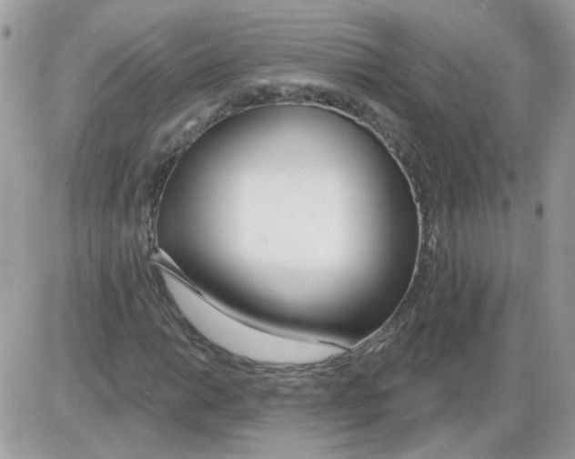X0000086101014200704202235