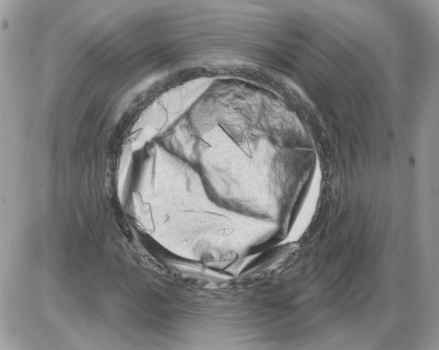 X0000086101016200704202235