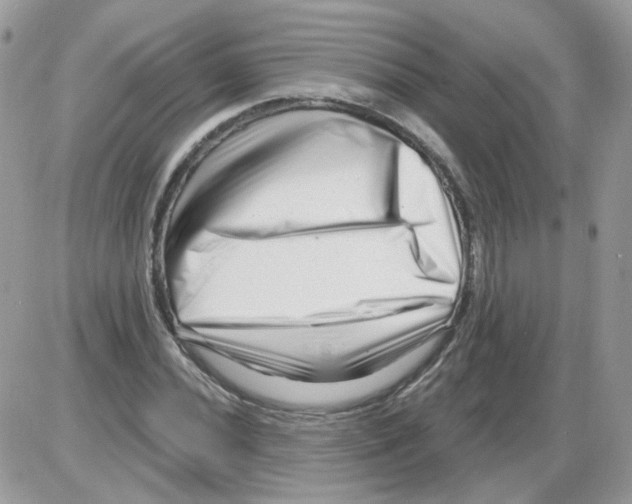 X0000086101020200704202236