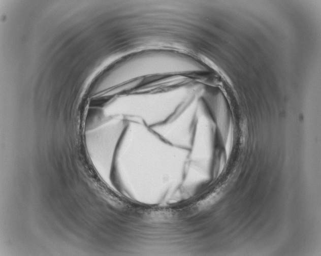X0000086101021200704202236