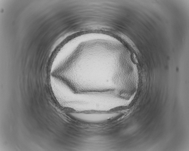 X0000086101023200704202236
