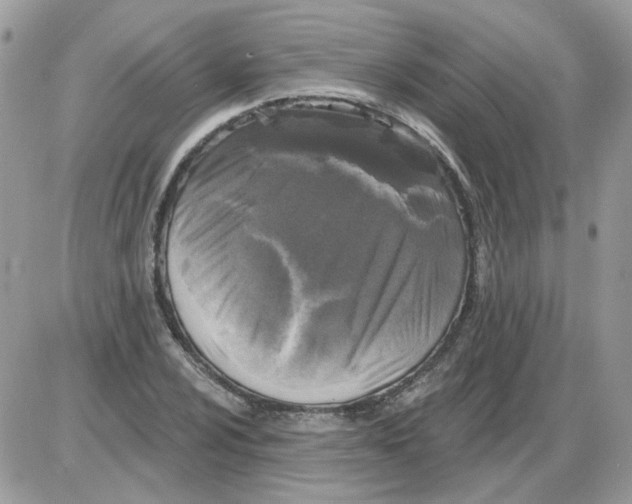 X0000086101024200704202236