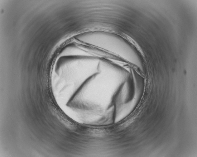 X0000086101027200704202236