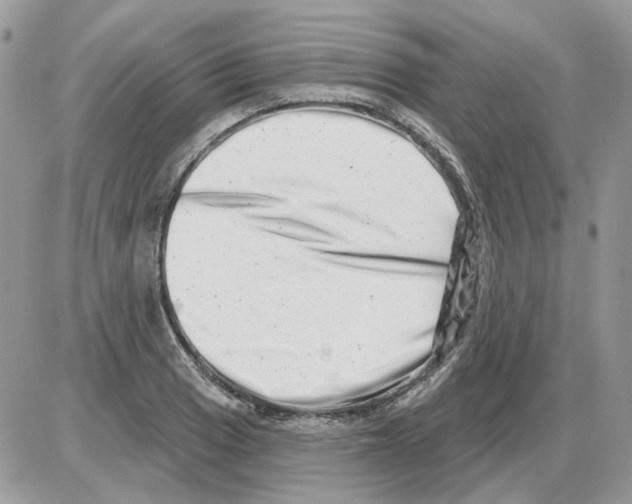 X0000086101033200704202236