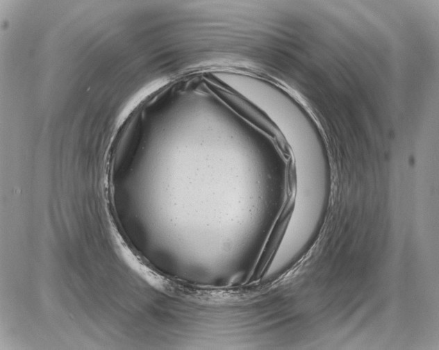 X0000086101042200704202236