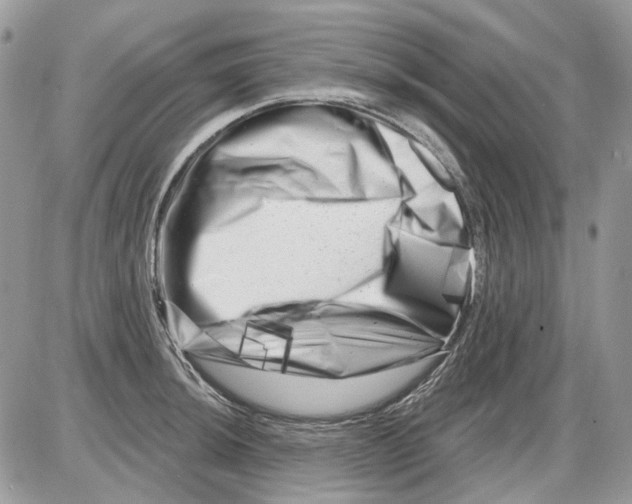 X0000086101044200704202236
