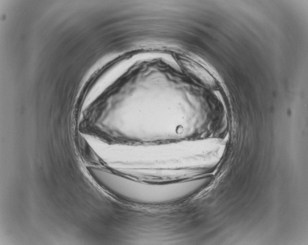 X0000086101045200704202236