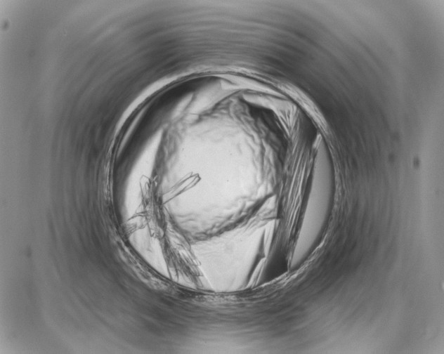 X0000086101052200704202236