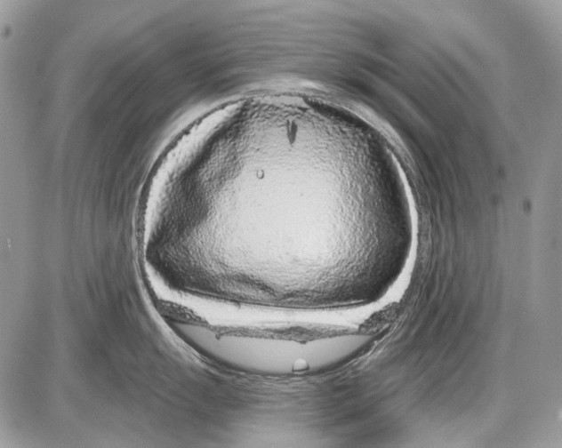 X0000086101055200704202236