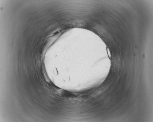 X0000086101058200704202235