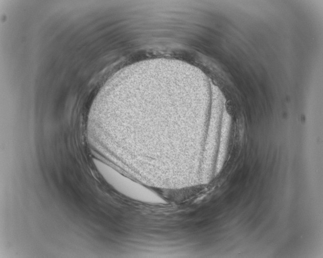 X0000086101060200704202235