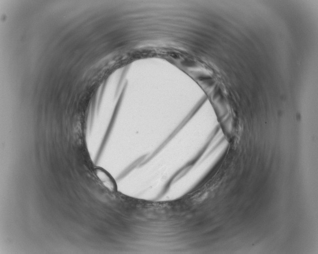 X0000086101062200704202235