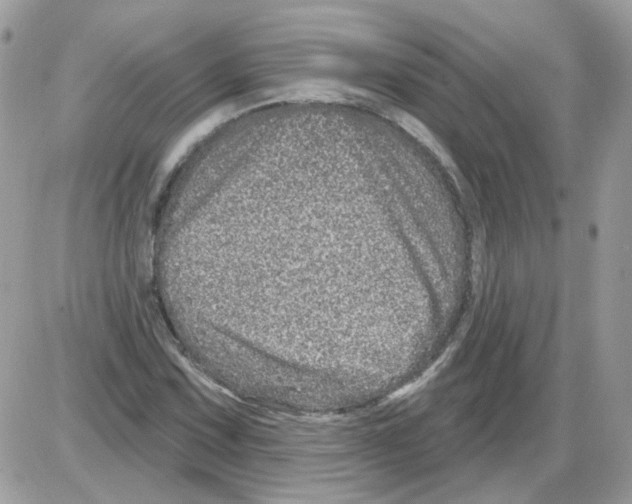 X0000086101067200704202235