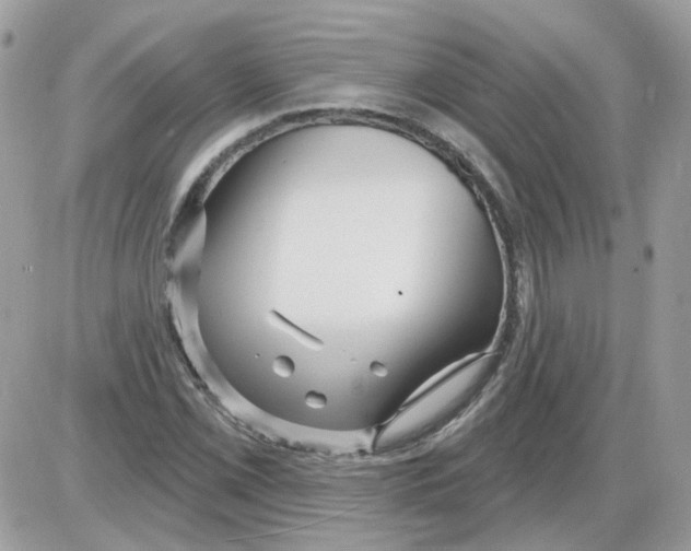 X0000086101069200704202235