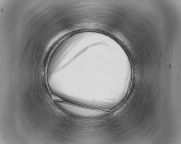 X0000086101070200704202235
