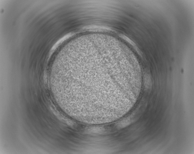 X0000086101074200704202235