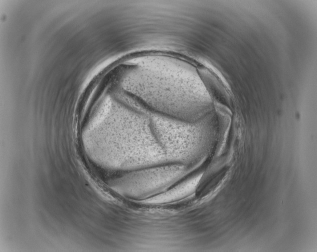X0000086101077200704202235