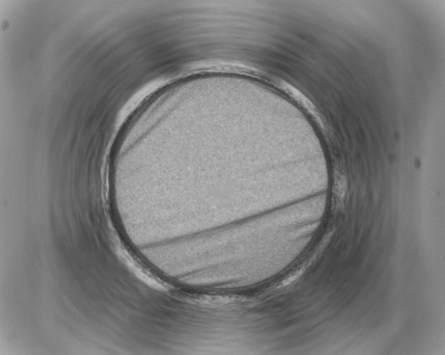 X0000086101082200704202235