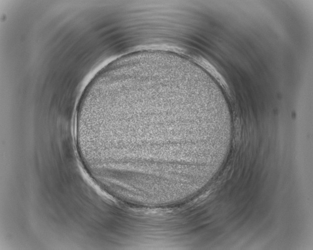 X0000086101084200704202235