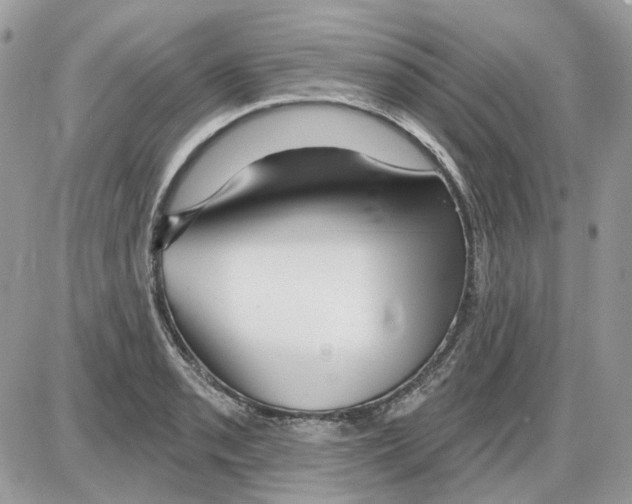 X0000086101085200704202235