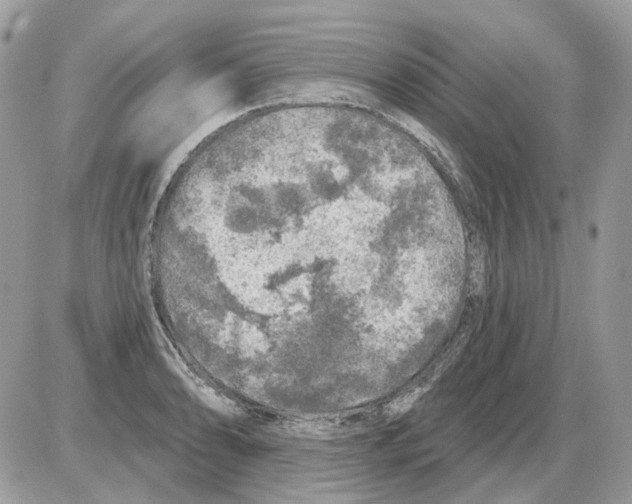X0000086101086200704202235