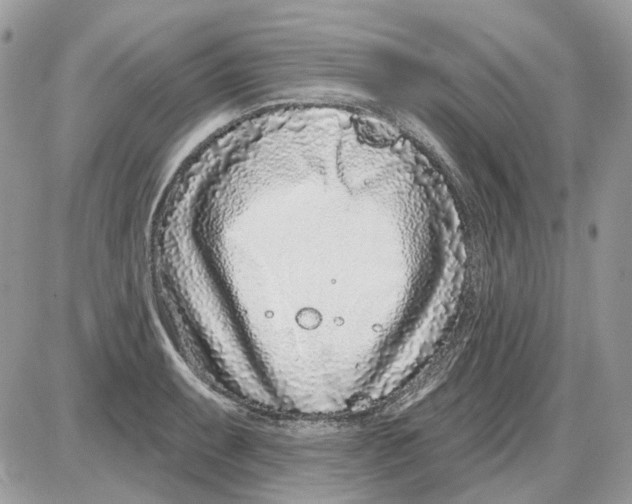 X0000086101087200704202235