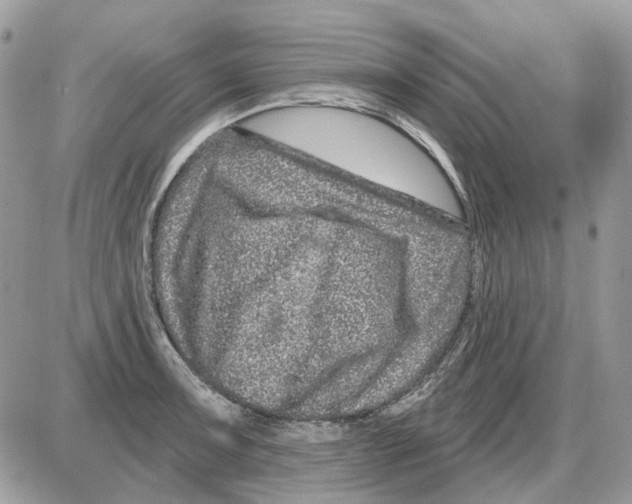 X0000086101091200704202235
