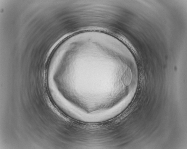 X0000086101092200704202235