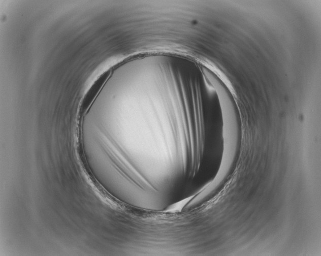X0000086101093200704202235