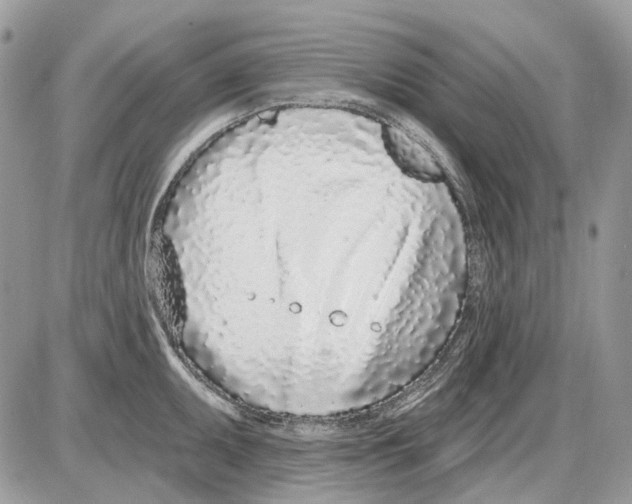 X0000086101095200704202235