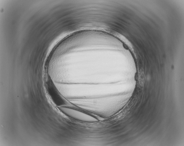 X0000086101096200704202235