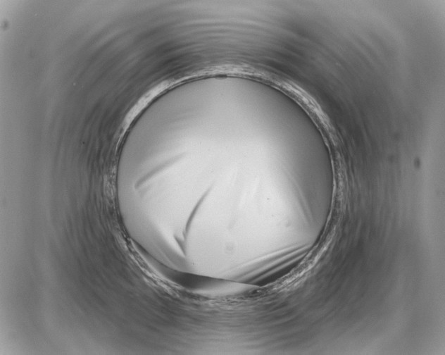 X0000086101097200704202235