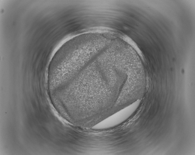 X0000086101099200704202235