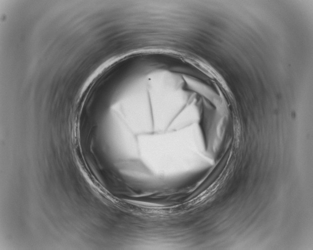 X0000086101101200704202235
