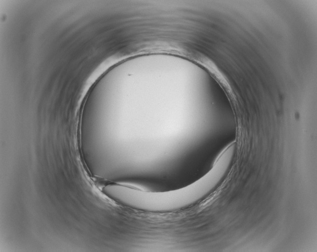 X0000086101102200704202235