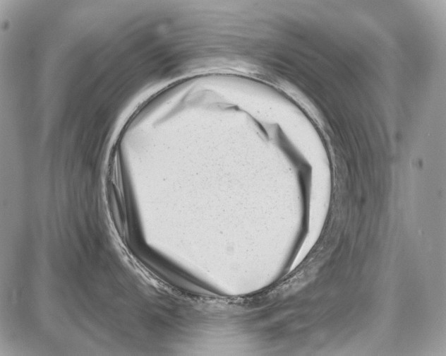 X0000086101104200704202235