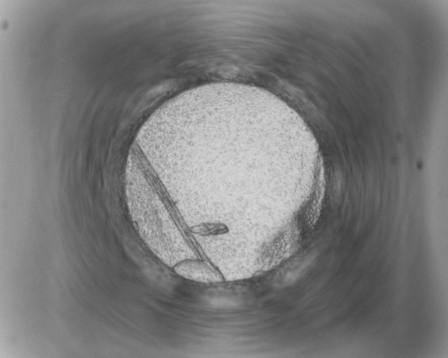 X0000086101105200704202234