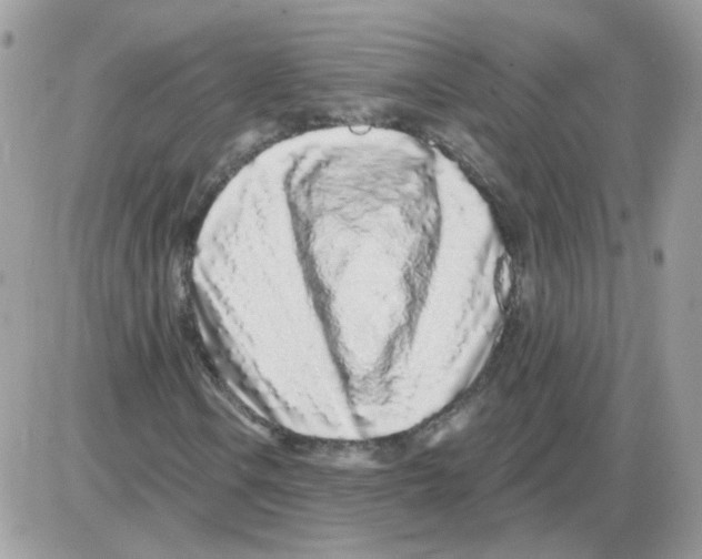 X0000086101106200704202234