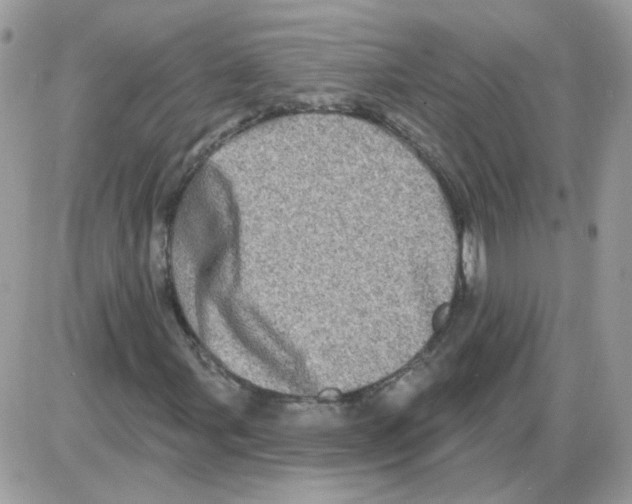 X0000086101107200704202234