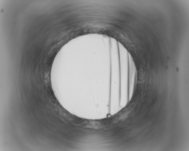 X0000086101109200704202234