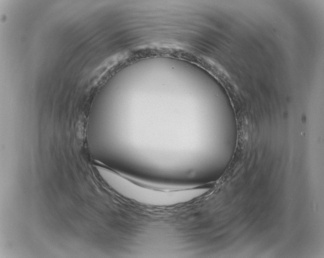 X0000086101110200704202234
