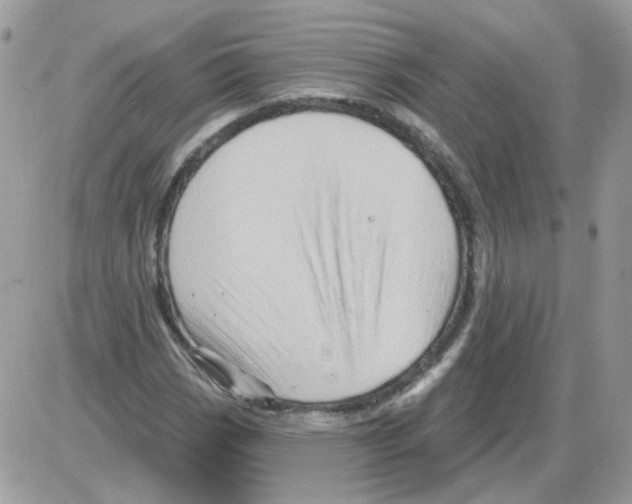 X0000086101113200704202234