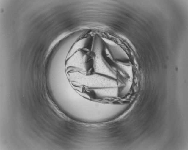 X0000086101114200704202234